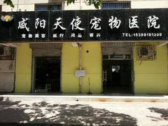 android_upload_pic-天使宠物医院·犬猫分诊(彩虹店)