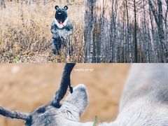 -哈乌尔河