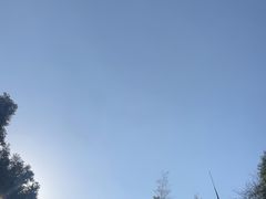 -上海佘山国家森林公园西佘山园