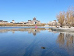 -莲花池公园