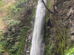 -莫里热带雨林景区