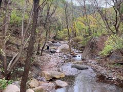 -云岫谷游猎自然风景区