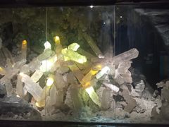 -湖南省地质博物馆