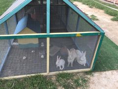 -廊坊固安福朋喜来登酒店