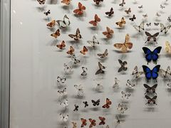 -四川大学博物馆