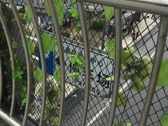 -成都市郫都区人民医院