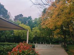 -东平国家森林公园