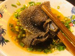 小龙坎毛肚-小龙坎火锅(双林店)