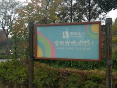 景点-田园东方蜜桃村的田野营地