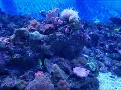 -成都浩海立方海洋公园