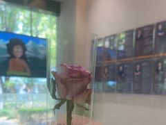 -TSK齿科德申会口腔门诊·联洋诊所