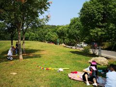 -羊山湖公园