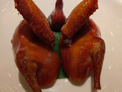 -茉里粤菜(皇姑万象汇店)