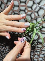 -LILY NAILS美甲美睫