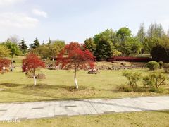 -白塘生态植物园
