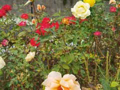 -北京植物园南门售票处