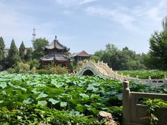 -莲池书院博物馆