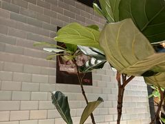 -一坐一忘云南菜(北京skp店)