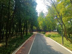 -云岗森林公园