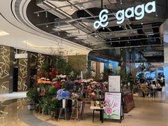 -gaga(深圳福田星河COCO Park店)