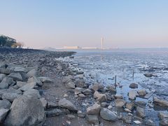 -上海吴淞炮台湾国家湿地公园