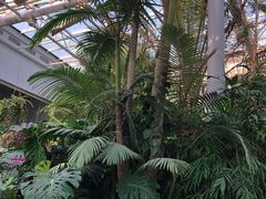 -郑州植物园