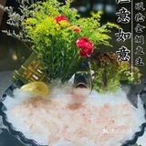 来广州一定不能错过的顺德菜，金鲷刺身