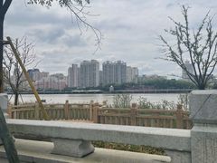 -江心屿景区