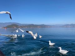 -丽江泸沽湖景区