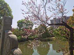 -南汇桃花村