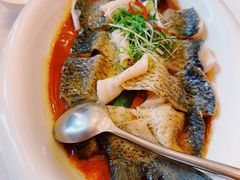 -顺味凤城·顺德菜专门店(九六广场店)