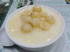 莲子炖奶-义顺牛奶公司(新马路老店)