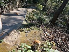 -敬亭山风景名胜区