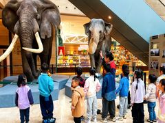 -宾果蒙特梭利托育儿童之家幼儿园(爱琴海店)