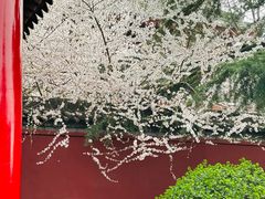 -西安市广仁寺