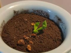 -徐记海鲜(汉城湖|太奥店)