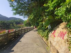 -广州市帽峰山景区