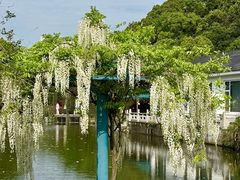 -龙寺生态园