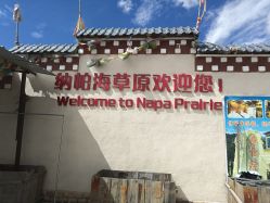 -纳帕海依拉草原