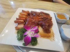 -锦粤宫·精致粤菜(深圳北站店)