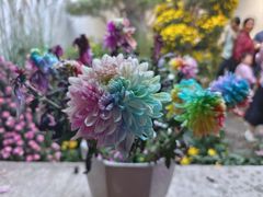 -杭州植物园