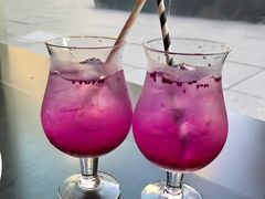 -凤凰湘语(浦东旗舰店)