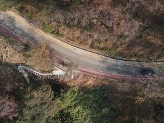 -广州市石门国家森林公园