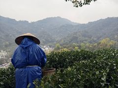 -阿巧茶庄
