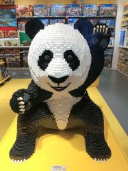 -kidsland(上海环球港店)