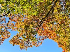 -西美五洲酒店康乐中心