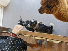 -FAIRYLAND龙族星球主题餐厅(凯丹广场店)