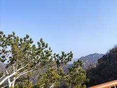 -少华山国家森林公园