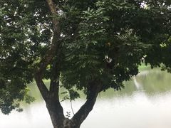 -潮州西湖