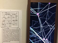 -日本科学未来馆